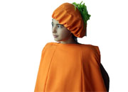 Դդումի հագուստ