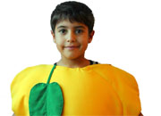 Կիտրոնի հագուստ